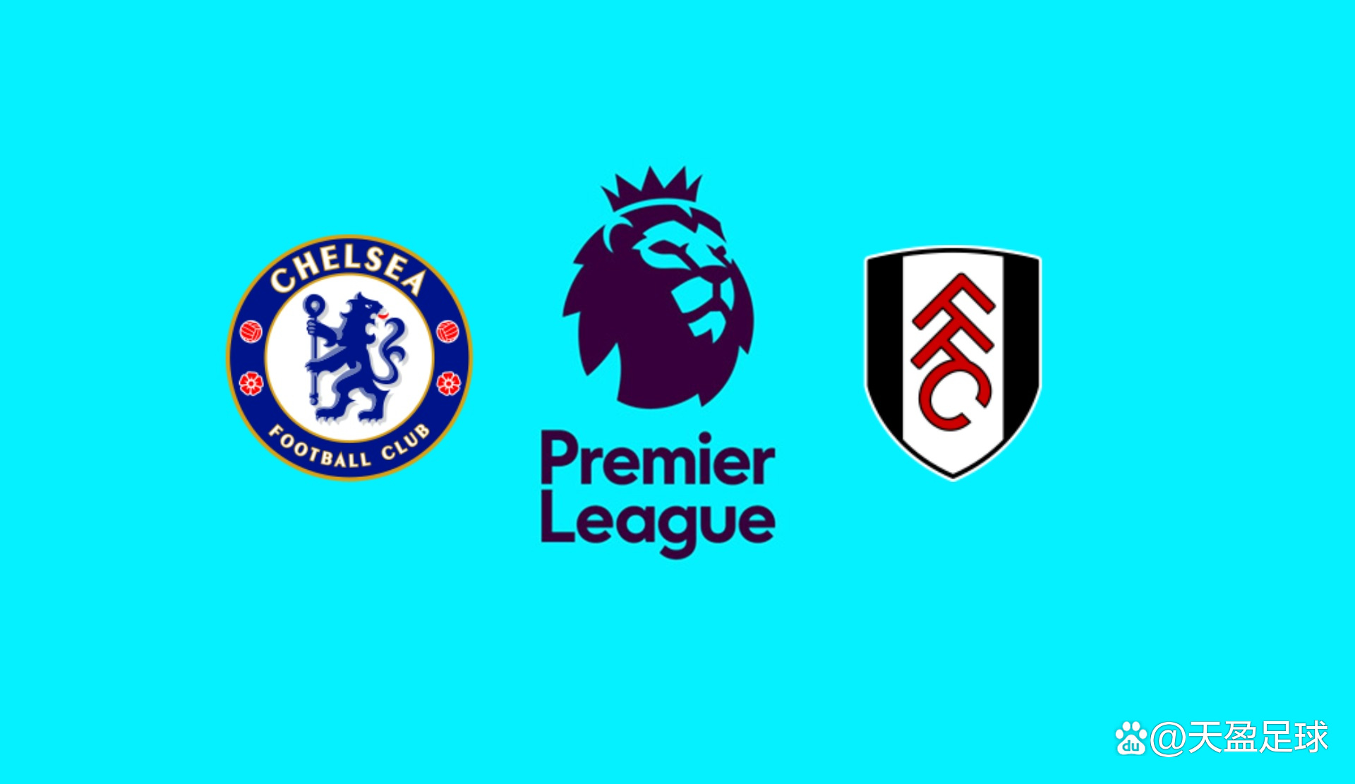 记者：莱斯特城就哈努斯标价3500万镑，水晶宫引进谈判破裂