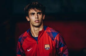 ＂UFC爆发大规模群殴 场下观众冲突不断