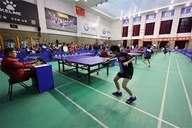 综合体育数据可视化解读 图表呈现赛事变化