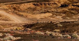 全神班觉醒完成？IG连克强敌取得三连胜，季后赛近在眼前！